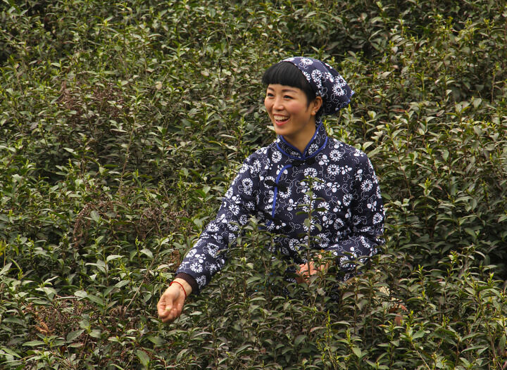 韩国女主播在线 雨伞下的秘密